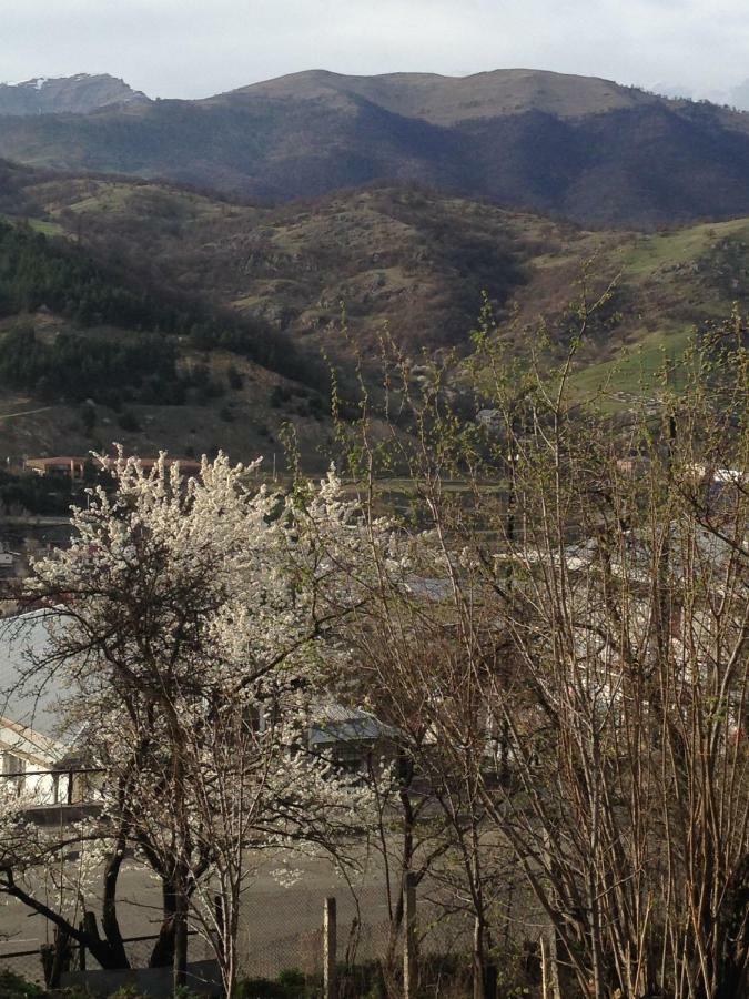 Hotel Family Dilijan Exterior foto