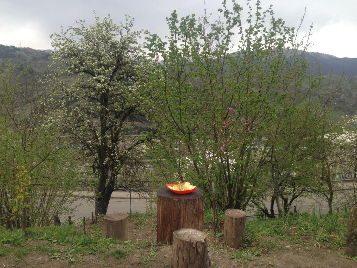 Hotel Family Dilijan Exterior foto